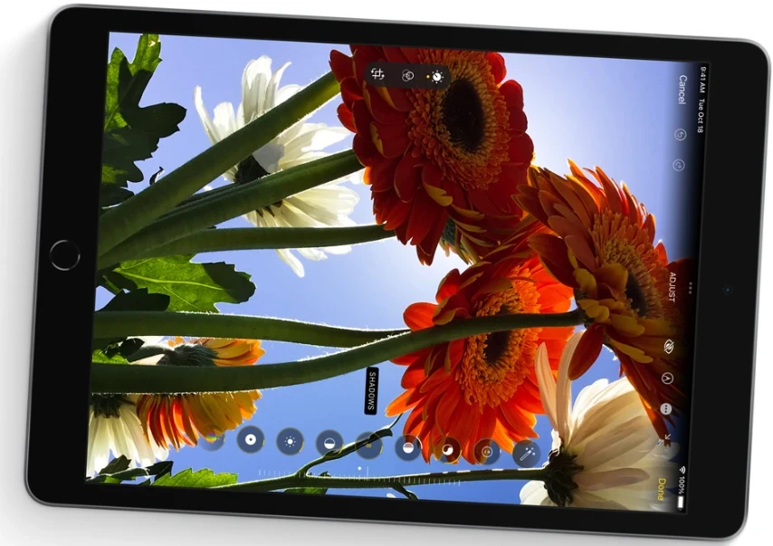 Apple iPad 10,2 cala 9gen 256 GB Cellular Space Gray